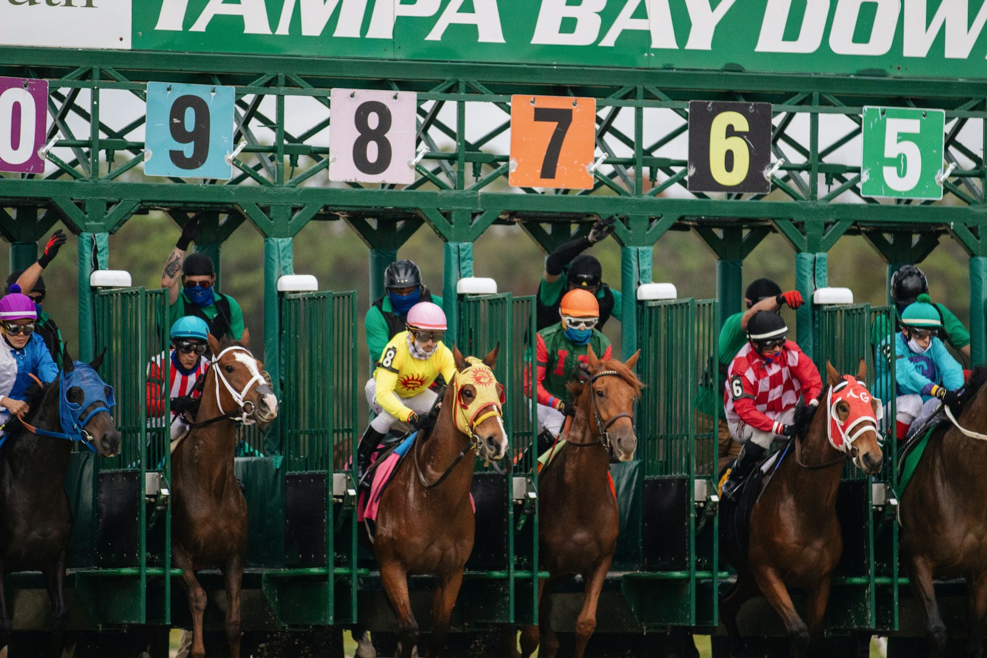 Horses racing out of the start box