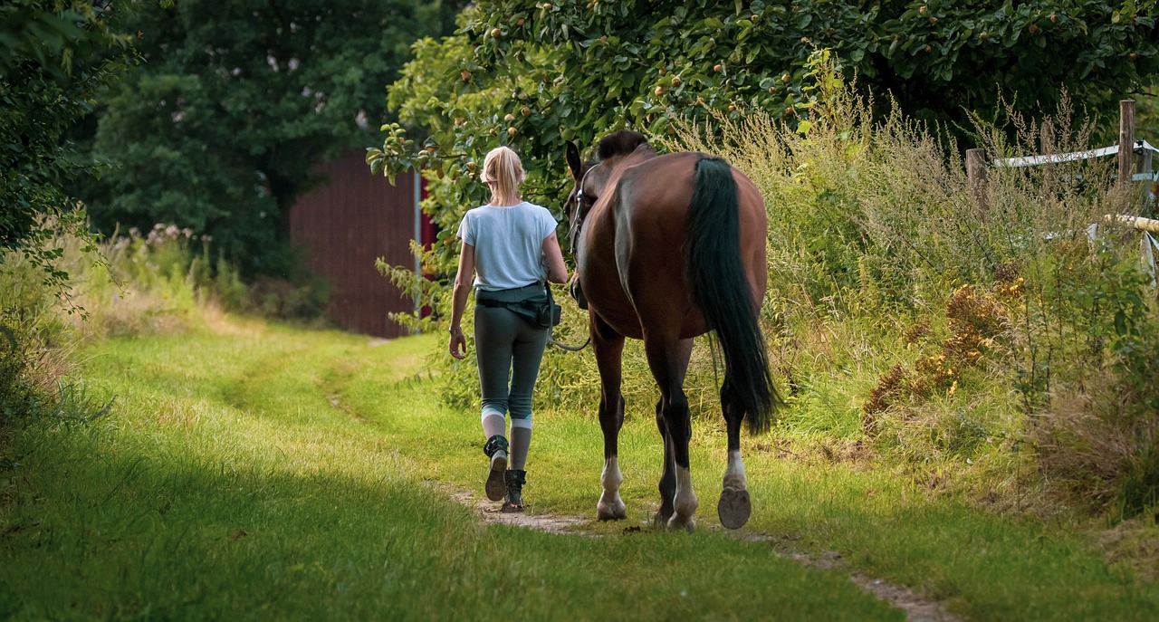 Horse and owner walking along on a grass verge. Osteoarthritis pain in their horses