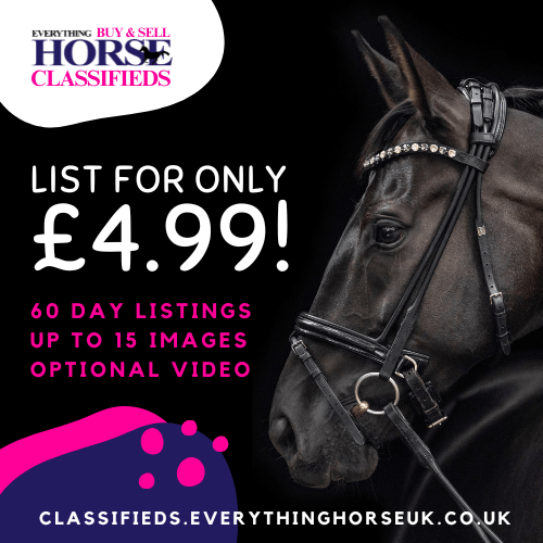 Everything Horse Classifieds, list for only £4.99.