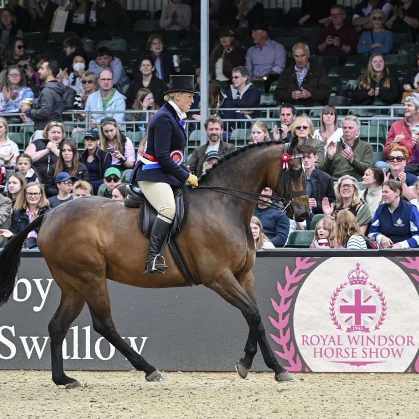 Justine Armstrong riding Rosemore Midnight Rendezvous at Royal Windsor Horse Show