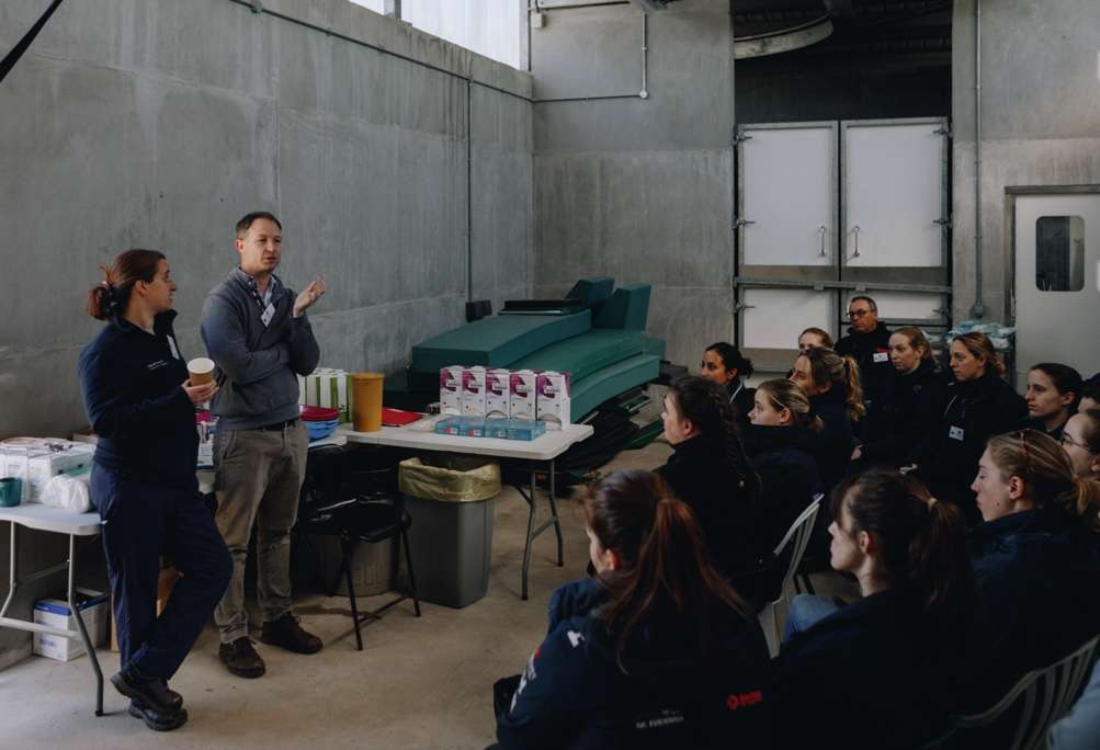 a group of vets receiving training