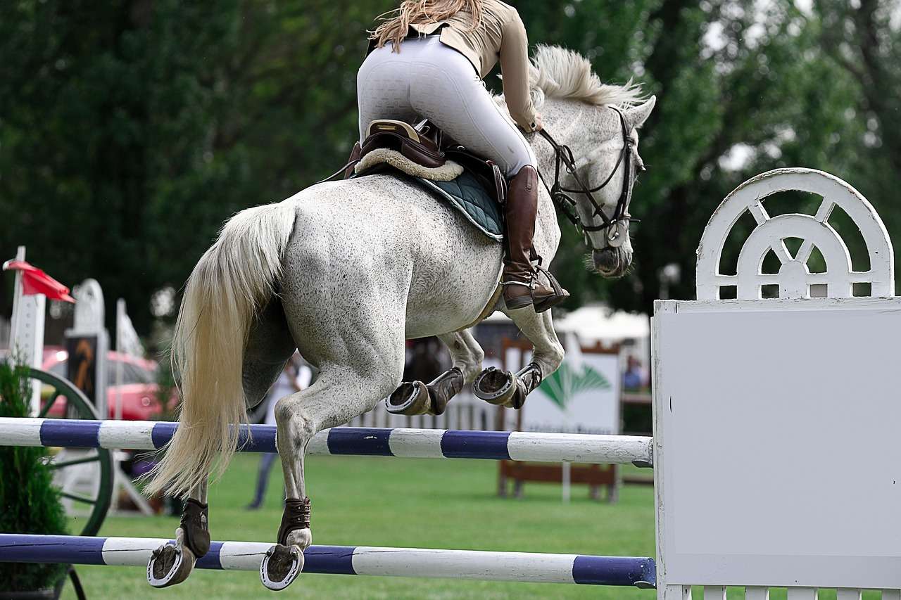 a horse and rider showjumping - how does menopause effect riders.