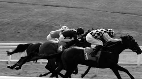 black and white images of horses racing