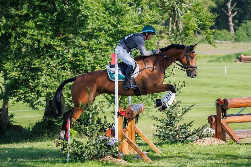 Ireland Clinches Historic Victory at Millstreet Everything Horse Magazine