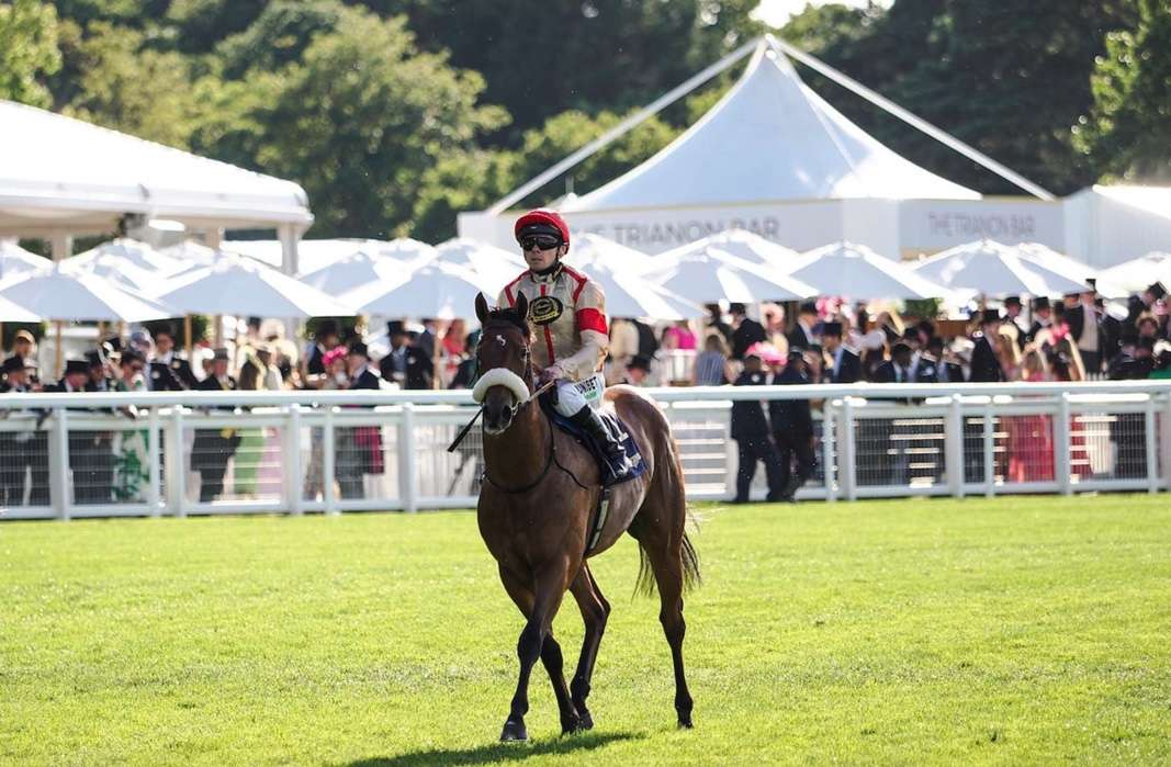 Ain't Nobody after winning the Windsor Castle Stakes (credit: Megan Coggin)
