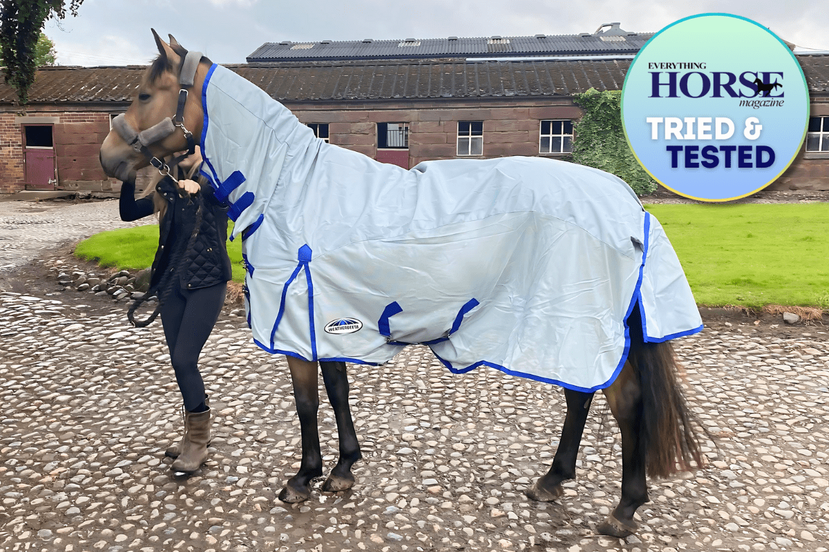 A horse stood in a waterproof fly rug from Weatherbeeta