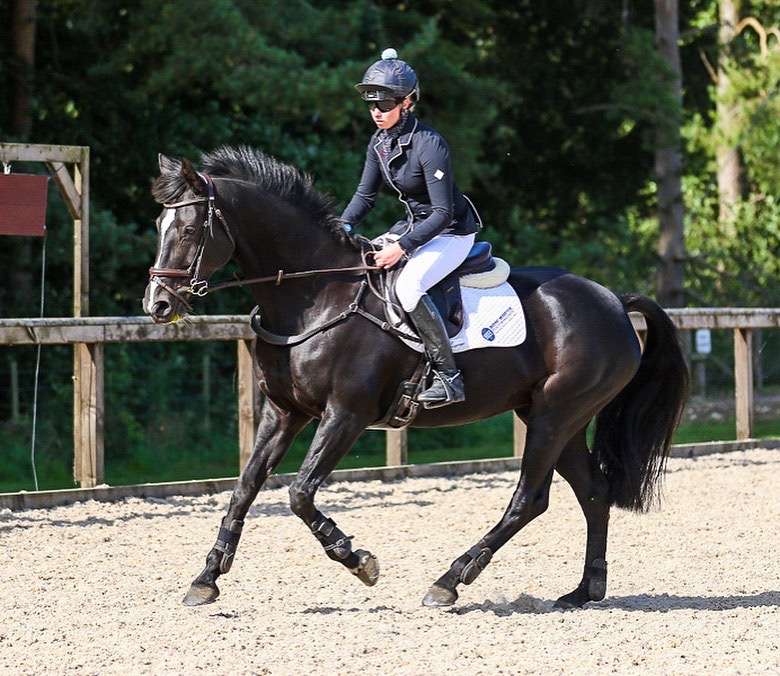 Wiltshire based equestrian overcomes brain injury following horrific ...