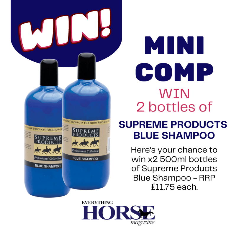 2 bottles of Supreme Products Blue Shampoo