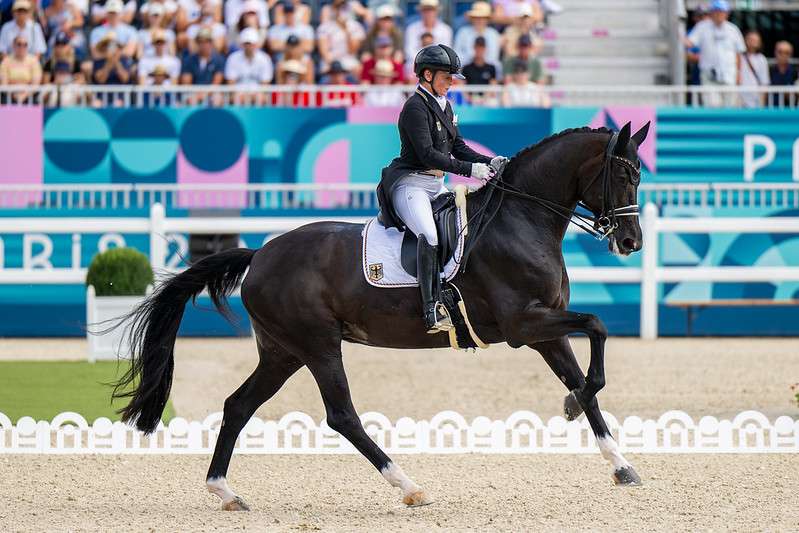 Dressage horse and rider and the olympics in Paris