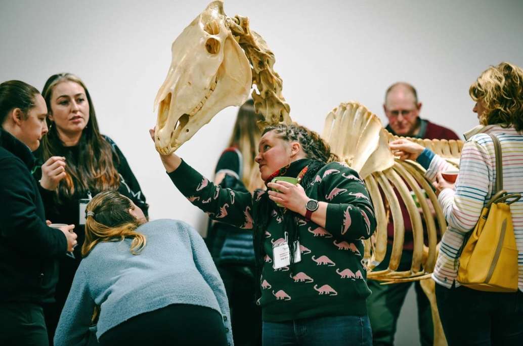 An Equine Anatomy and Art by Gillian Higgins