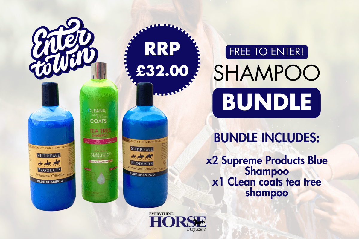 horse shampoo bundle 