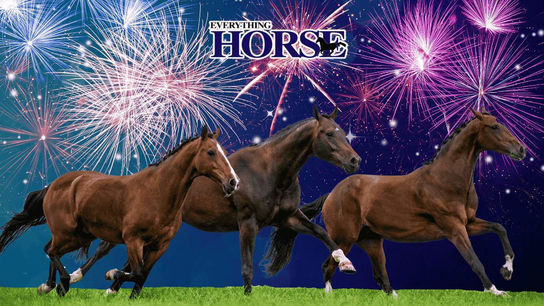 which horse calmer for bonfire night visualised by galloping horses with fireworks