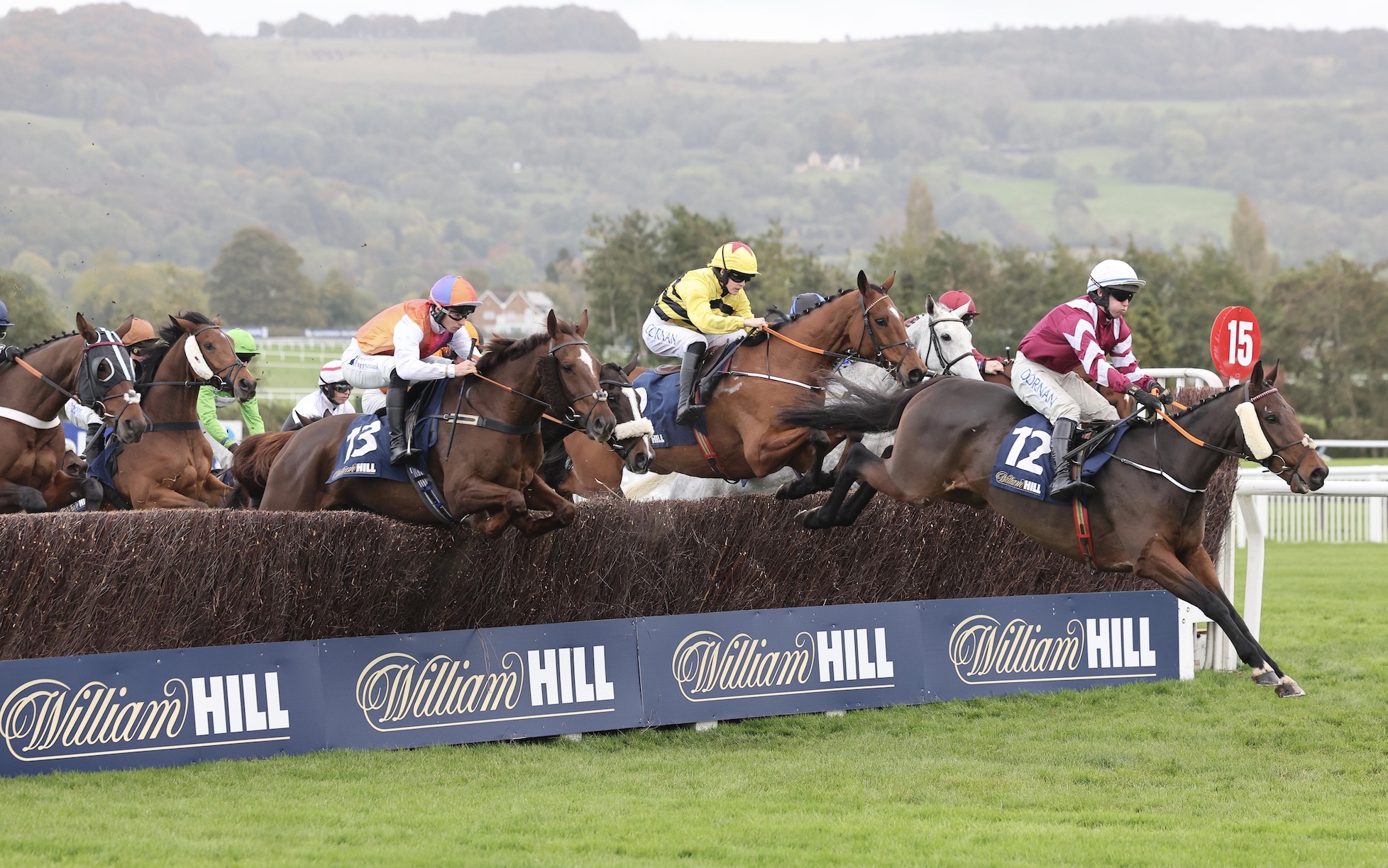 william hill sponsored jump racing bush fence