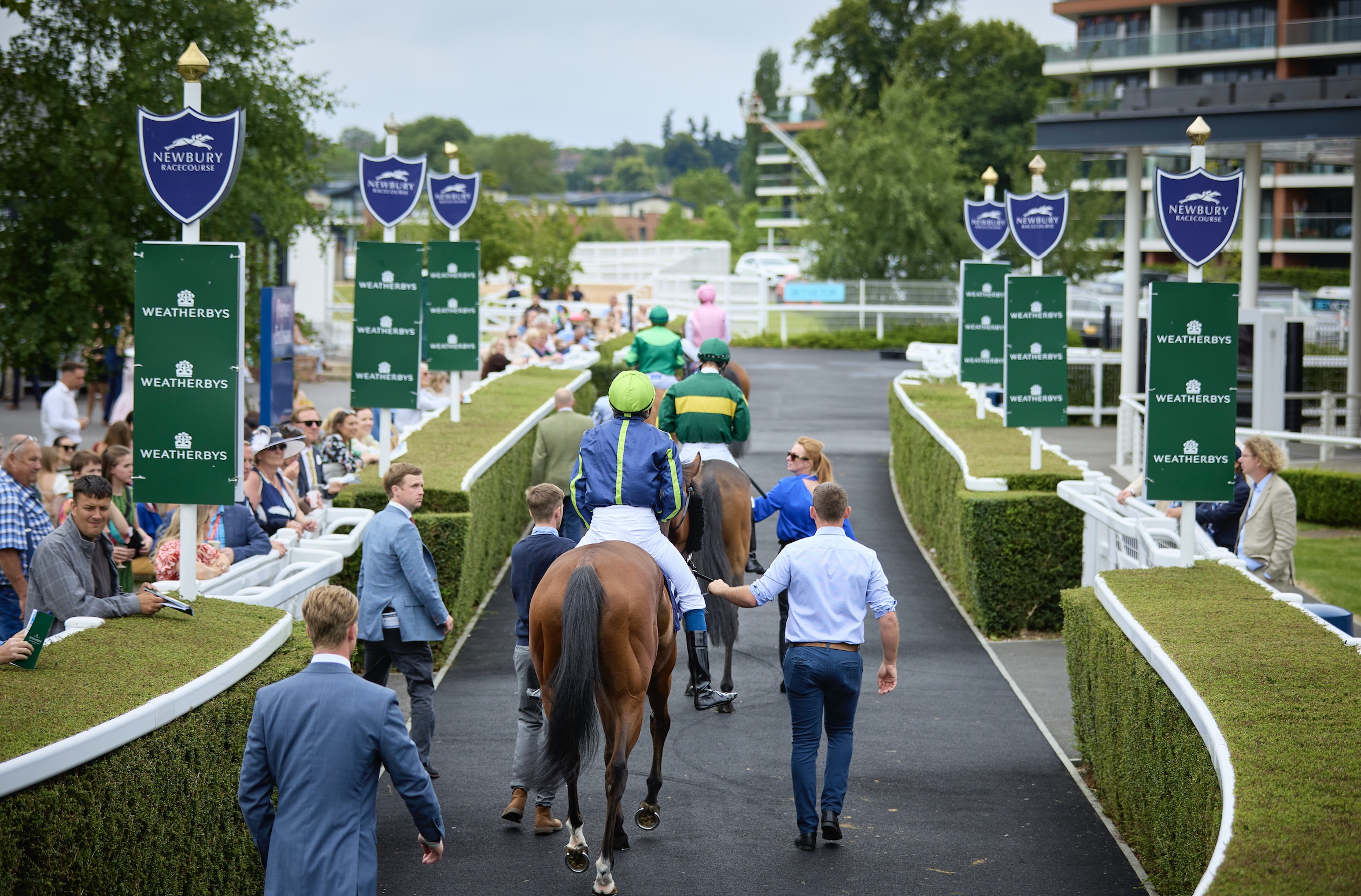 Weatherbys Super Sprint at Newbury Racecourse horses being walked up to the course