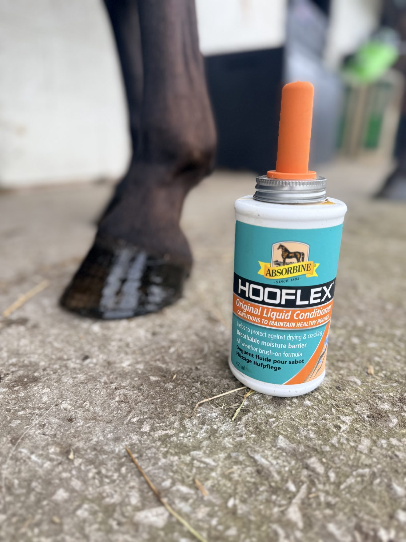 Products for Horses' Hooves