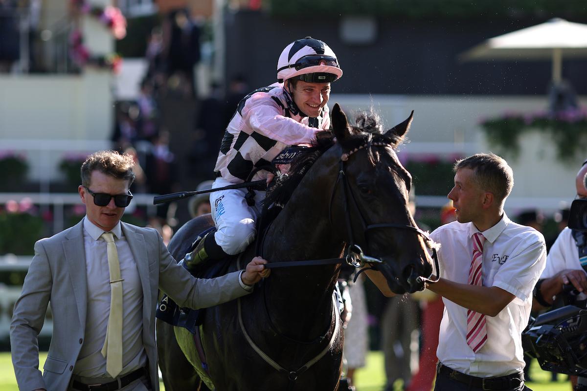 Havana Hurricane after winning the Windsor Castle Stakes (credit: Megan Coggin)