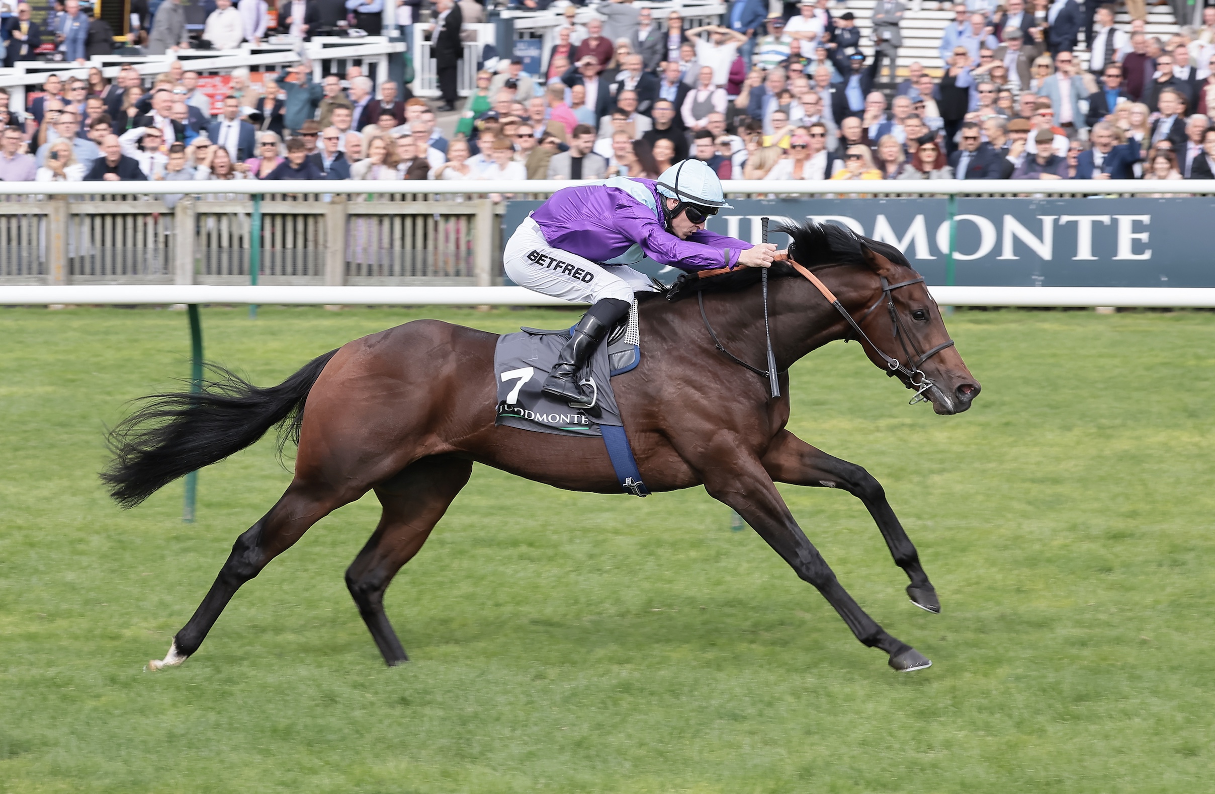 racehorse ghostwriter