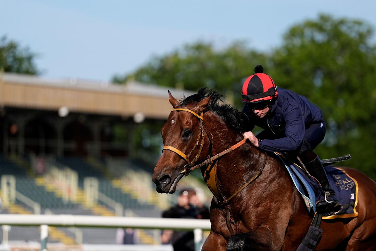 Royal Ascot Satono Reve