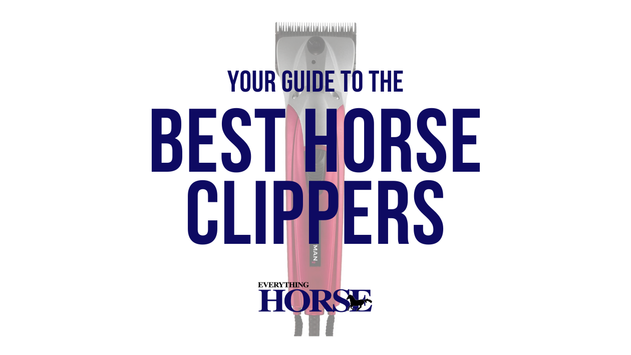best horse clippers feature image of horse clipper faded in the background