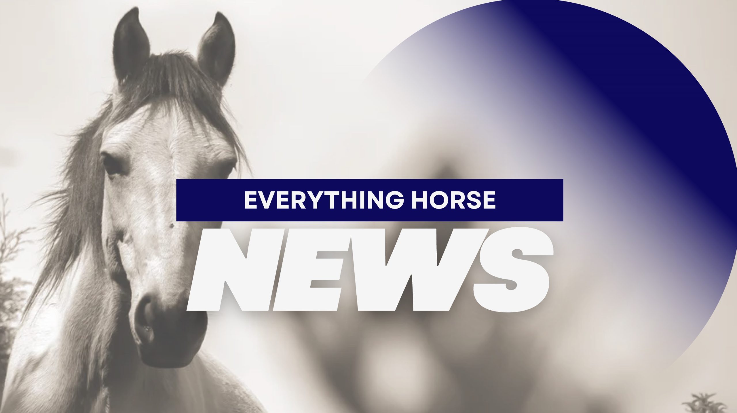 Equestrian NEWS