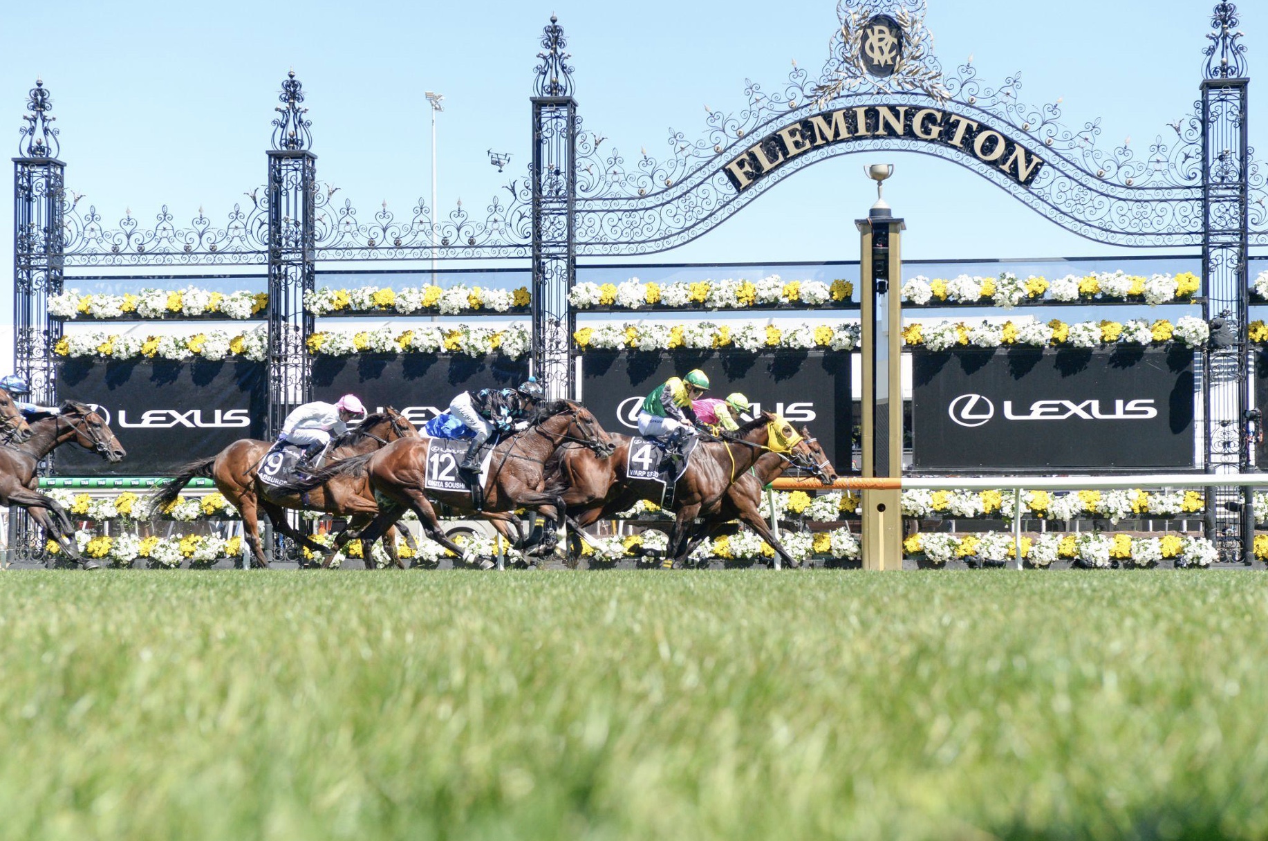 Knight's Choice ridden by Robbie Dolan winning the 2024 Melbourne Cup, Photo Credit: Racing Photos (photo permission given by Racing Victoria)