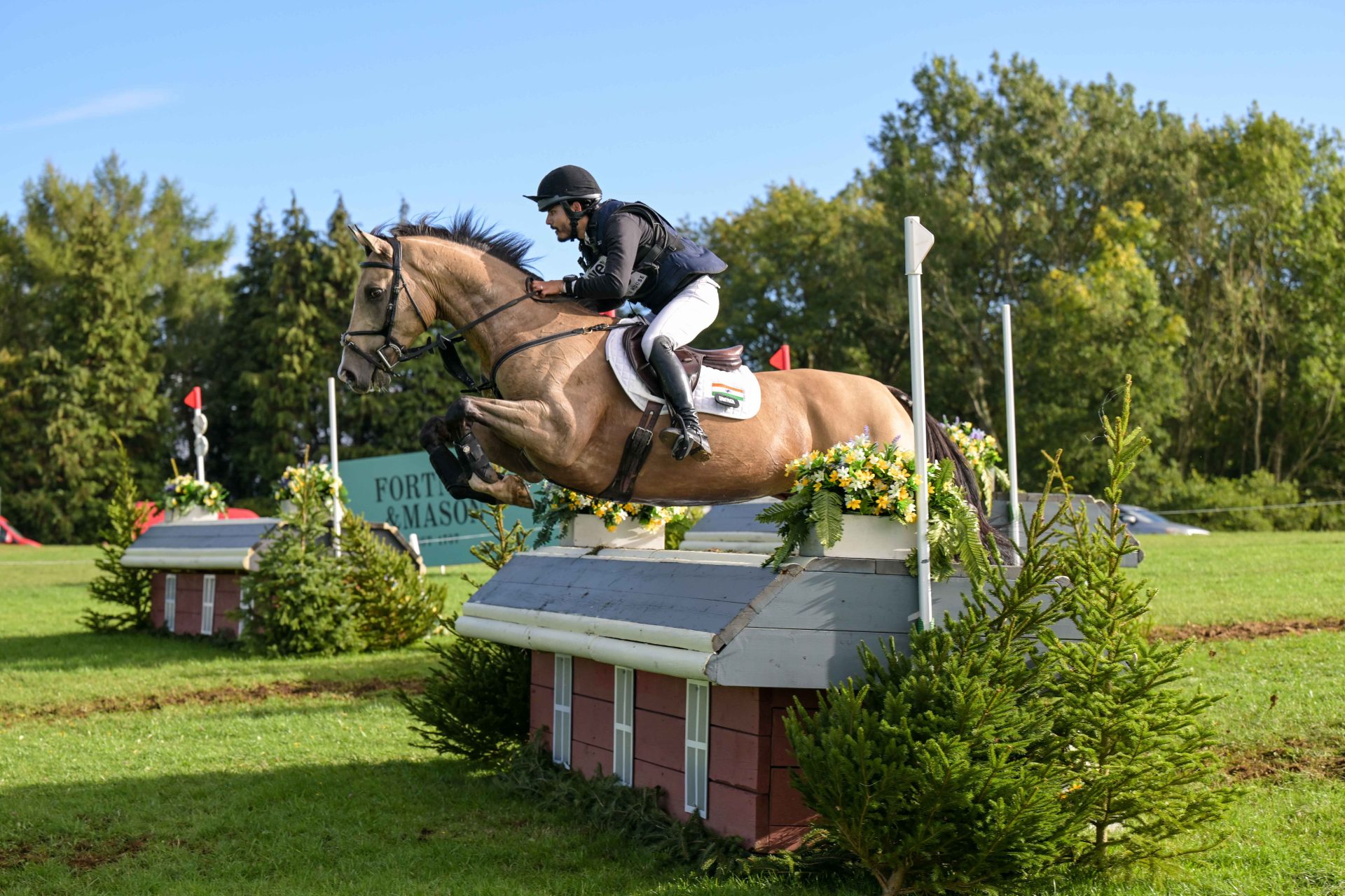 a dun horse jumping a cross country fence on a sunny day