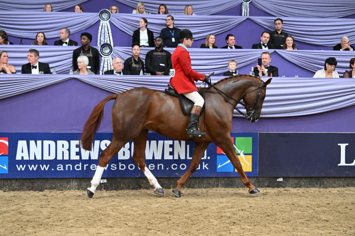 Craig Kiddier and Mulberry Lane II (owned by SM Tennant), Supreme Products Supreme Horse Of The Year Champion 2024 Image credit: 1st Class Images