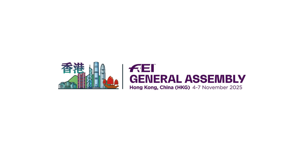 FEI General Assembly Logo