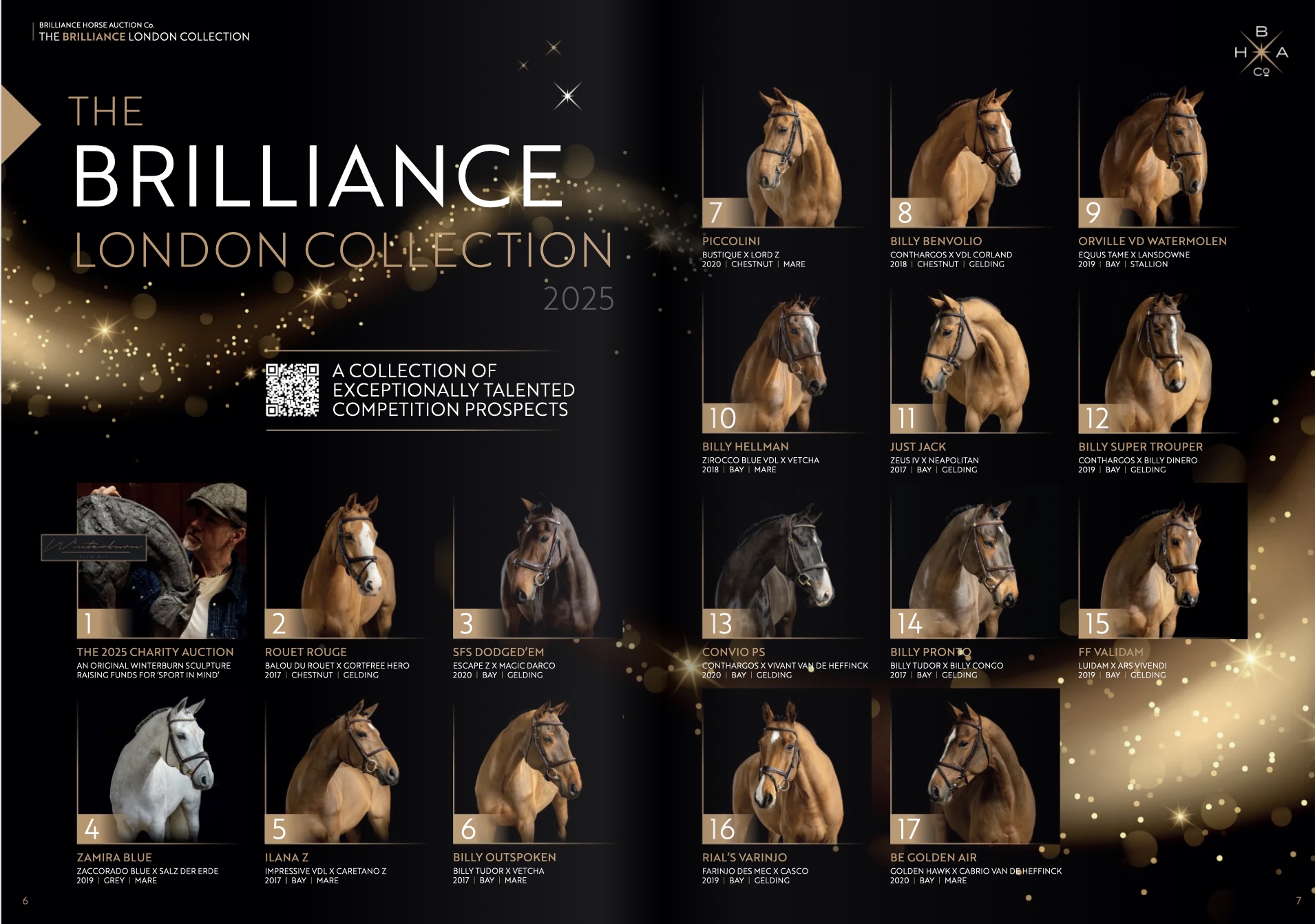 2025 Brilliance Auction line-up