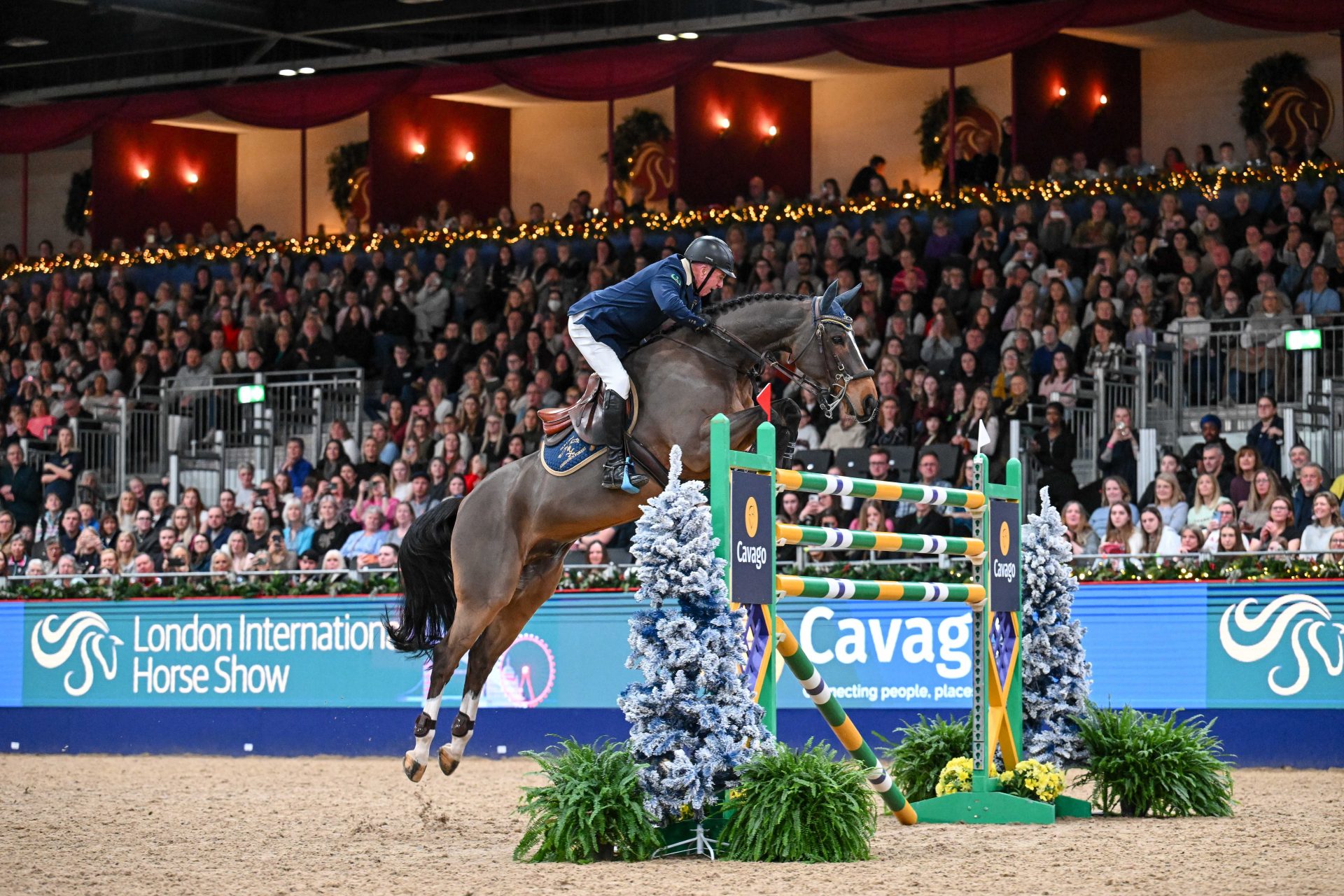 Showjumping john whitaker