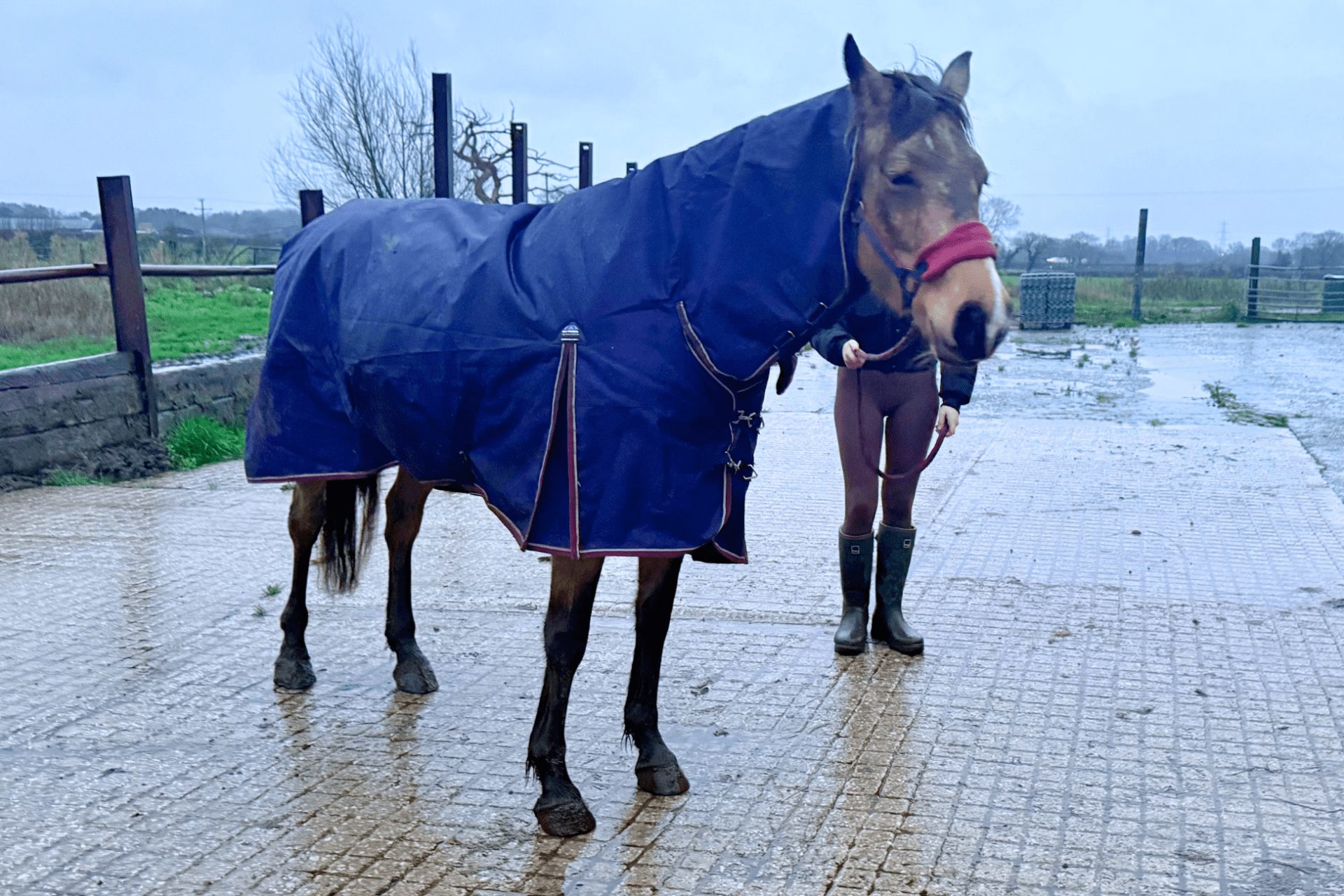 WeatherBeeta ComFiTec Essential Coperta Per Cavallo Con Girocolli, 360g, Imbottitura, Colore Blu/Argento/Rosso