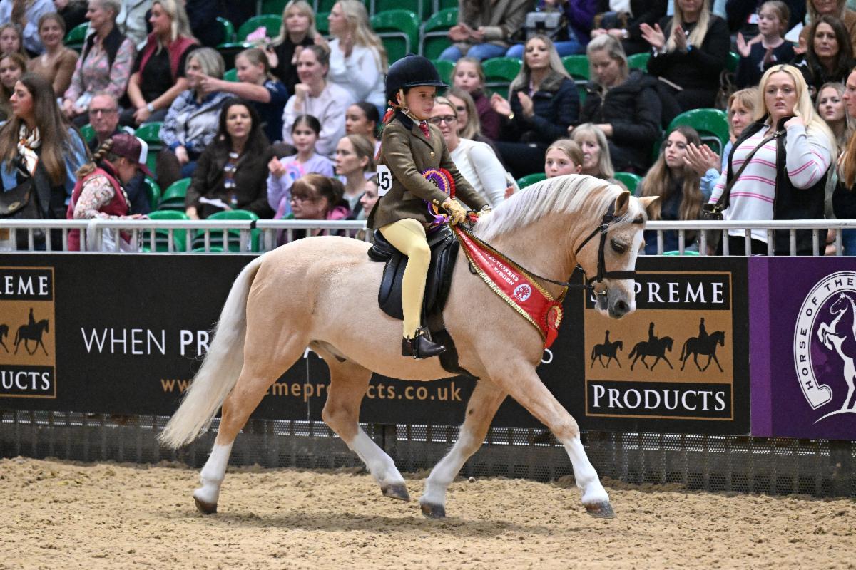 Image of last year's M&M First Ridden Pony of the Year a palomino - Jemima Makin-Jones & Wernderris Charlie Fox