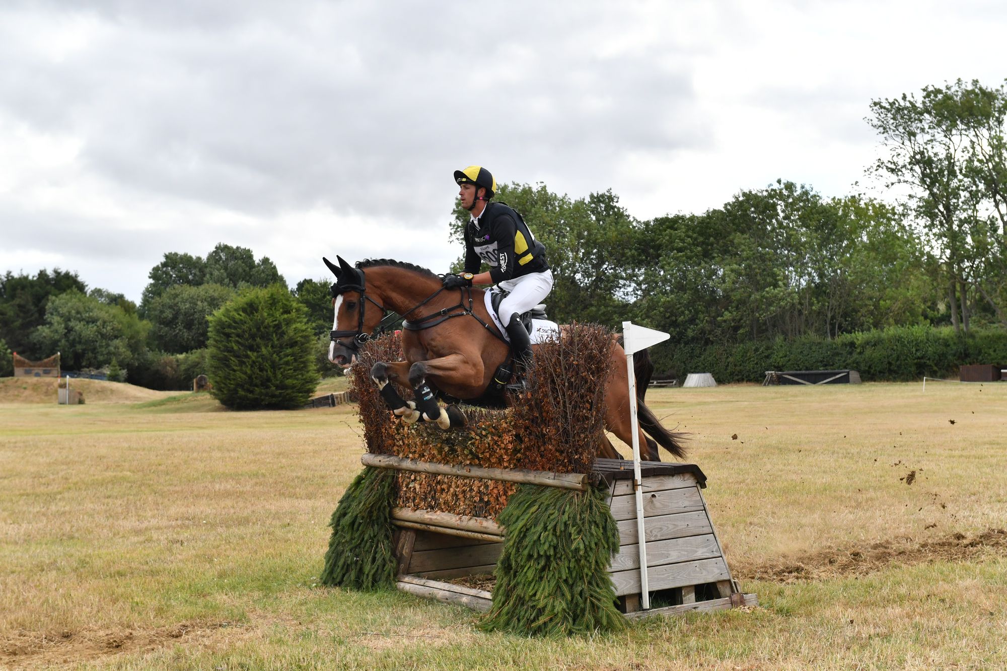 Will Rawlin and Pieterado The Howden Way Young Horse Series