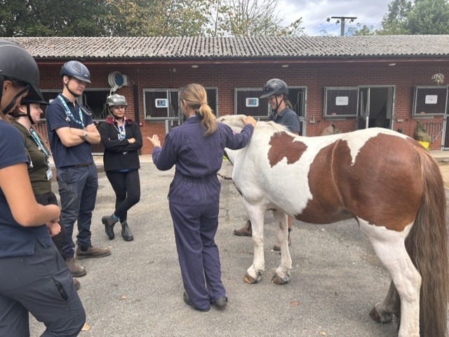 2026 inspiring vets care equine bootcamp (7)