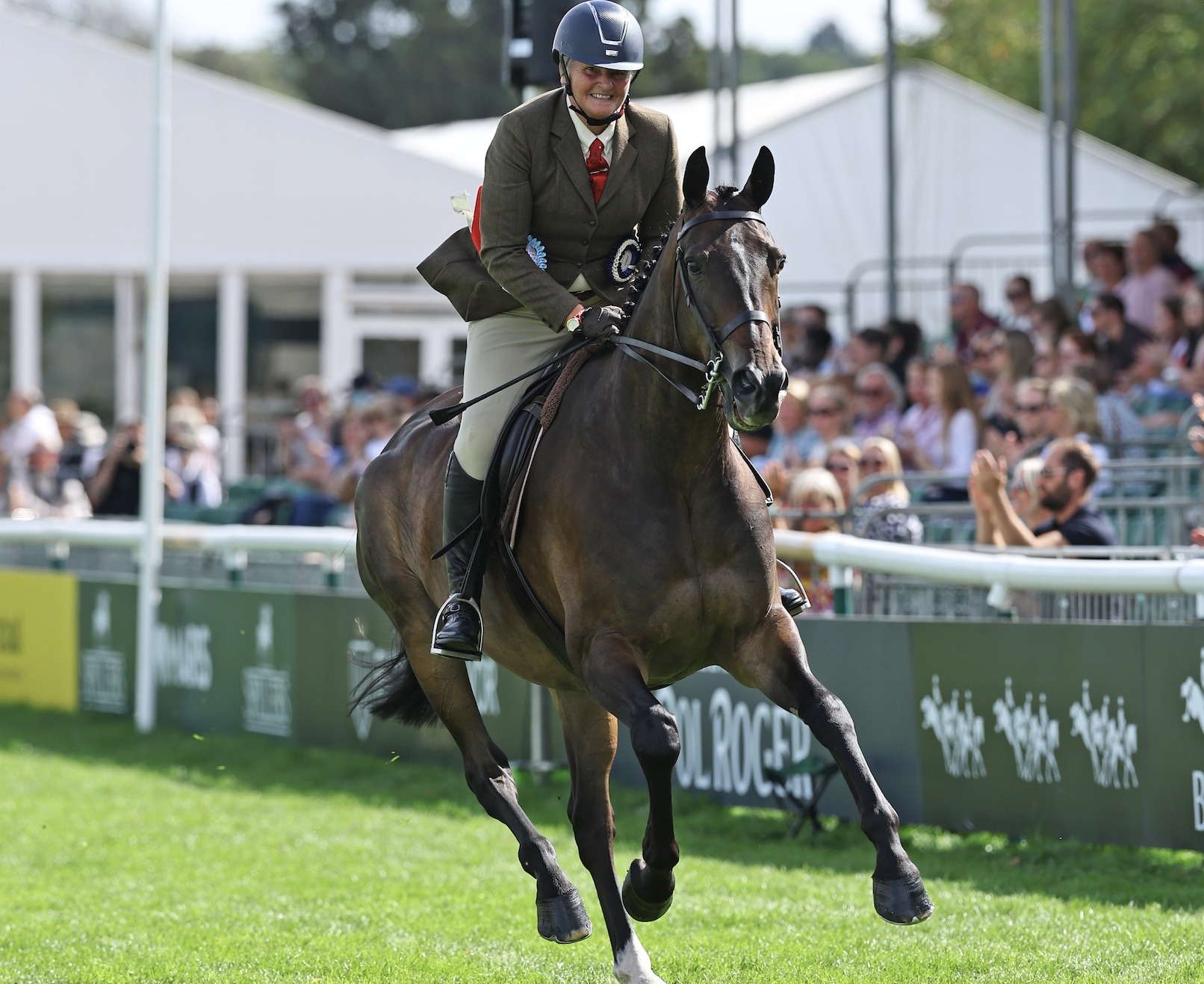 SEIB Racehorse to Riding Horse qualifier - Fado Des Bosses