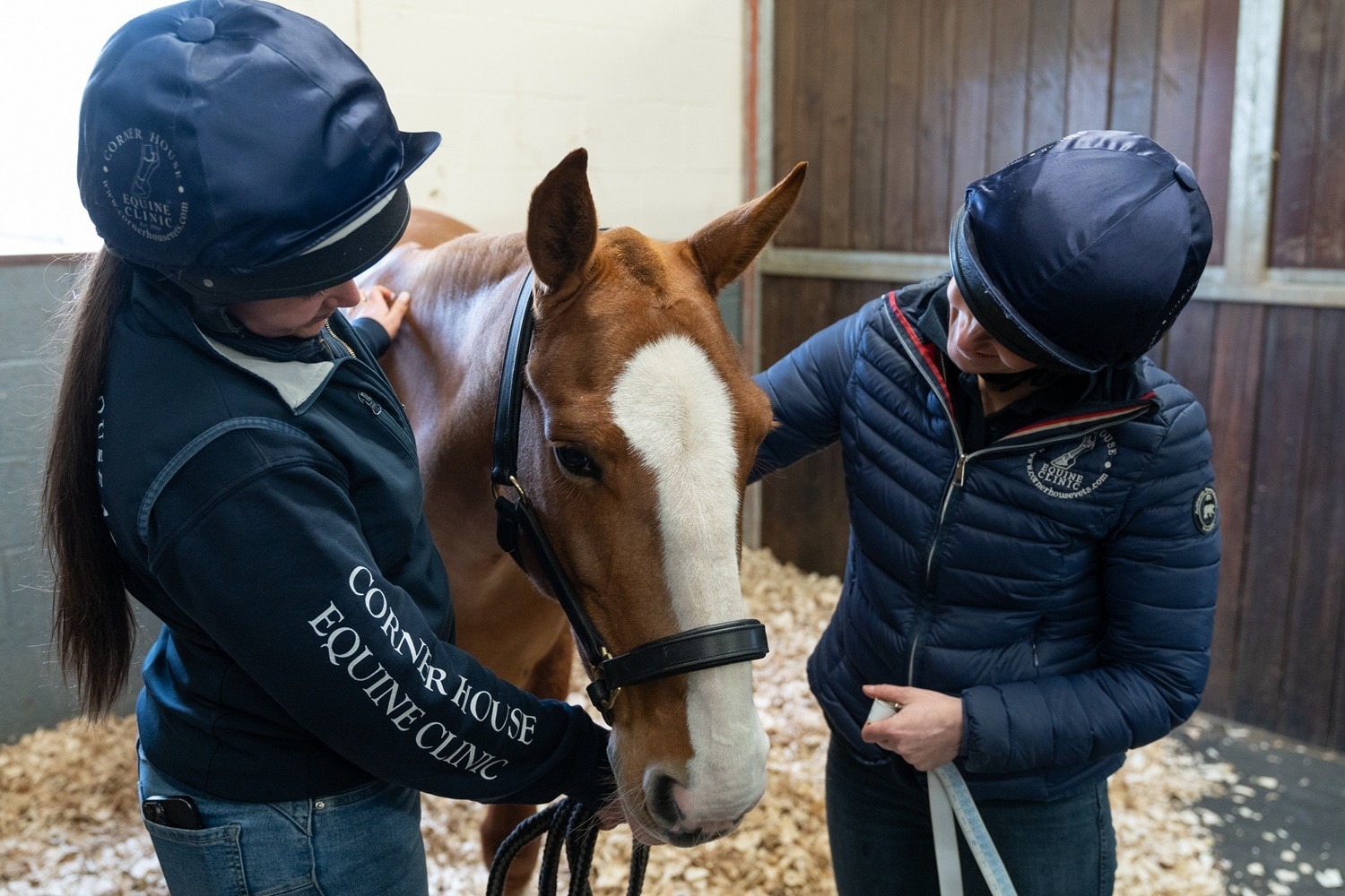 a horse with two vets - investigation to improve equine asthma care continues