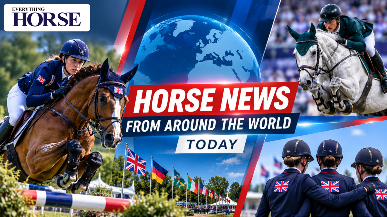 Horse News From Around the World today image