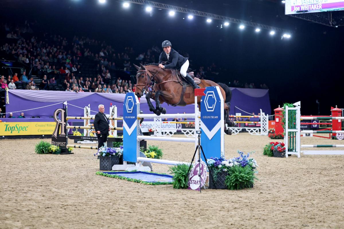 joe whitaker HOYS 2026