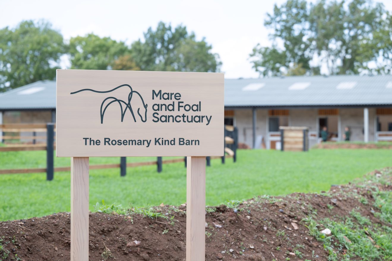 Mare and Foal Sanctuary opens new Devon barn