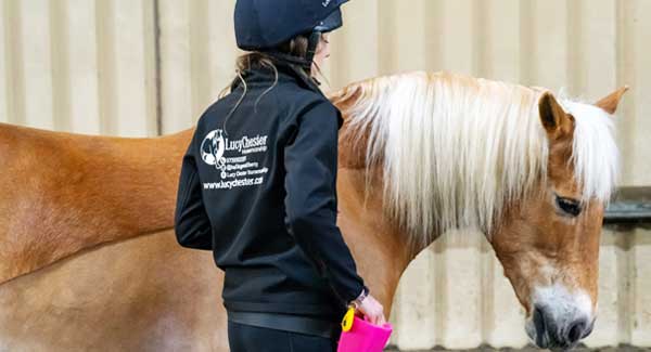 world horse welfare employee stood with palomino horse